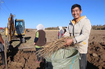内蒙古敖汉旗:种植中药材 开出&ldquo;致富方&rdquo;