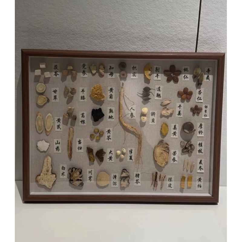 oimg中医文创中药标本装饰画 新款新品中国道地产区